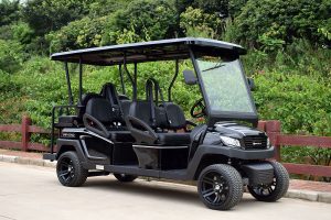 Bintelli Beyond 6PR Street Legal Golf Cart - Aluminum Frame