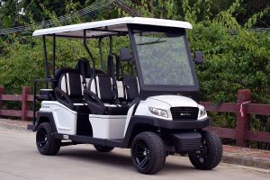 Bintelli Beyond 6PR Street Legal Golf Cart - Aluminum Frame