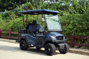 Bintelli Beyond 4PR Street Legal Golf Cart - Aluminum Frame